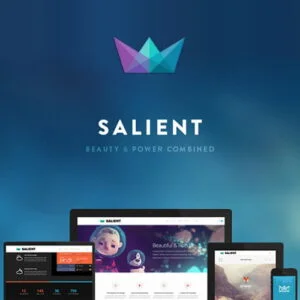 Salient – Responsive Multi-Purpose Theme