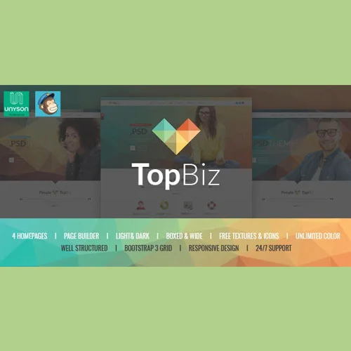 TopBiz – Responsive Corporate WordPress Theme - Imagem 1