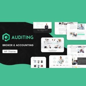 Auditing | Accounting Consultant