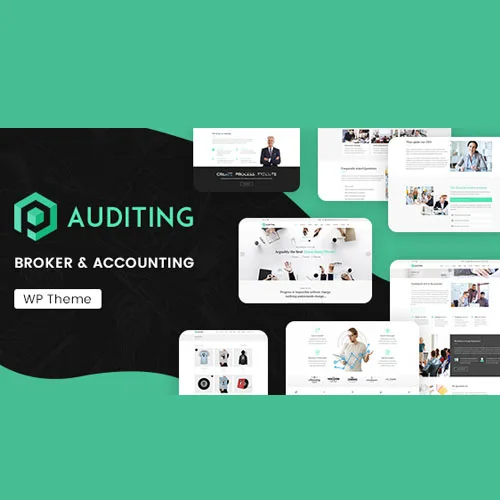 Auditing | Accounting Consultant